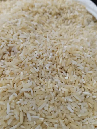 برنج دودی هیزمی گیلان - 10 کیلوگرم