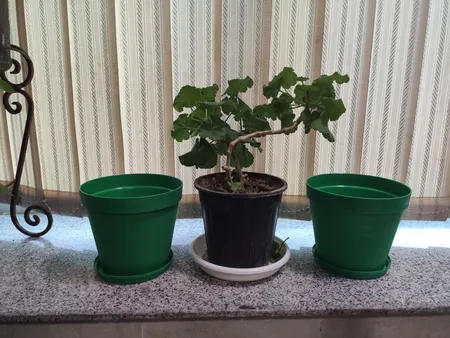 گلدان شهرآذین مدل 2000