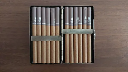 جا سیگاری گوپای مدل اسلیمی