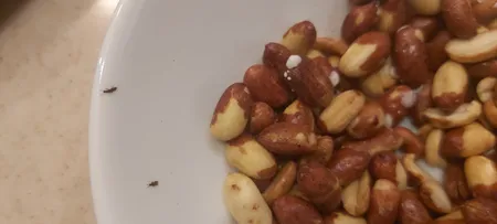 بادام زمینی 125 - 400 گرم