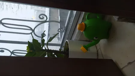 آب پاش دستی زیباسازان مدل فیل مهربان