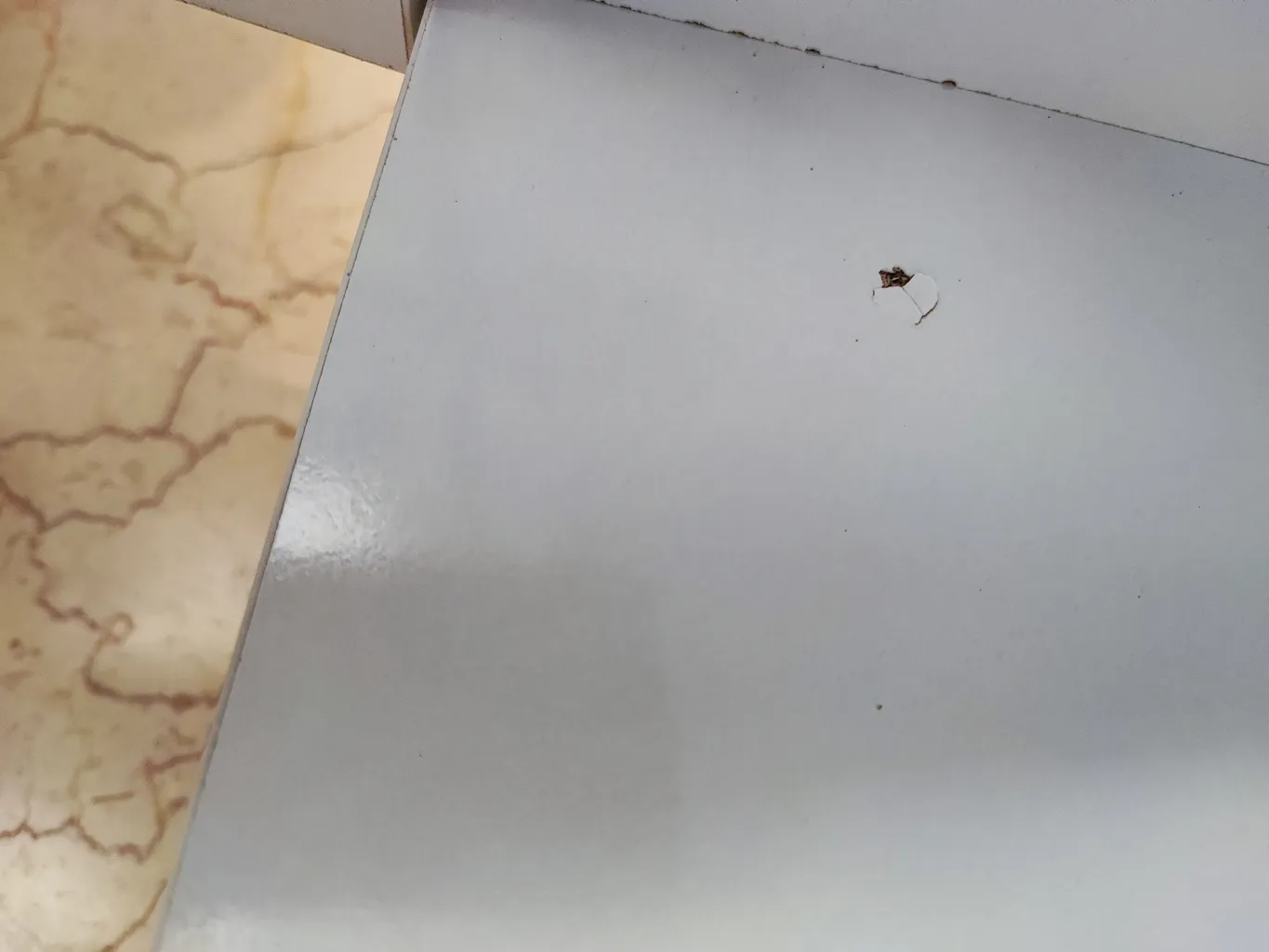 جاکفشی مدل Sj1187