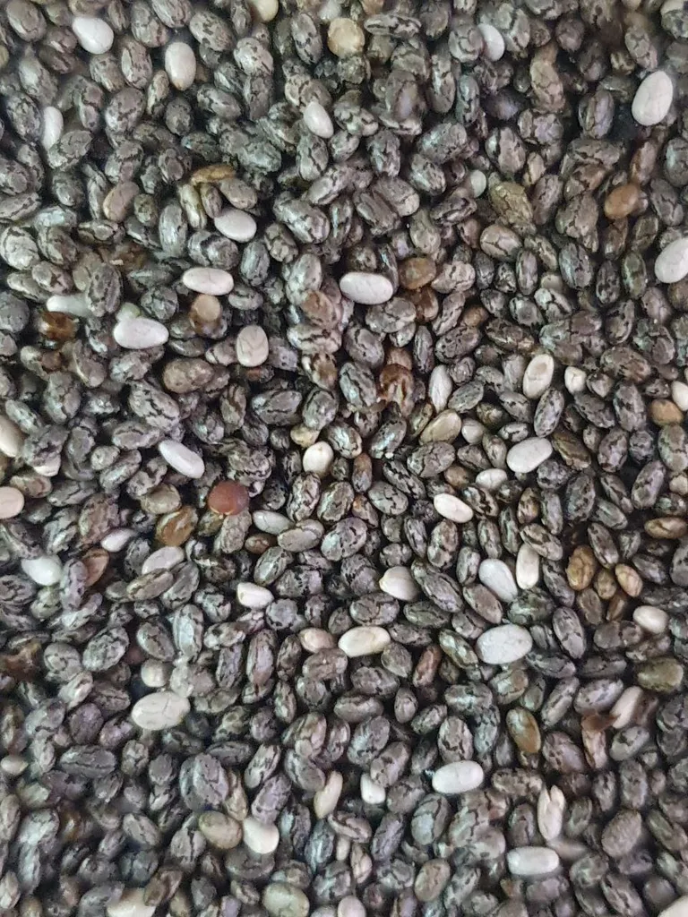 دانه چیا ممتاز سرمد - 300 گرم