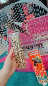 تجریه خرید تشویقی طوطی هپی برد مدل استیک پرستیژ وزن 60 گرم