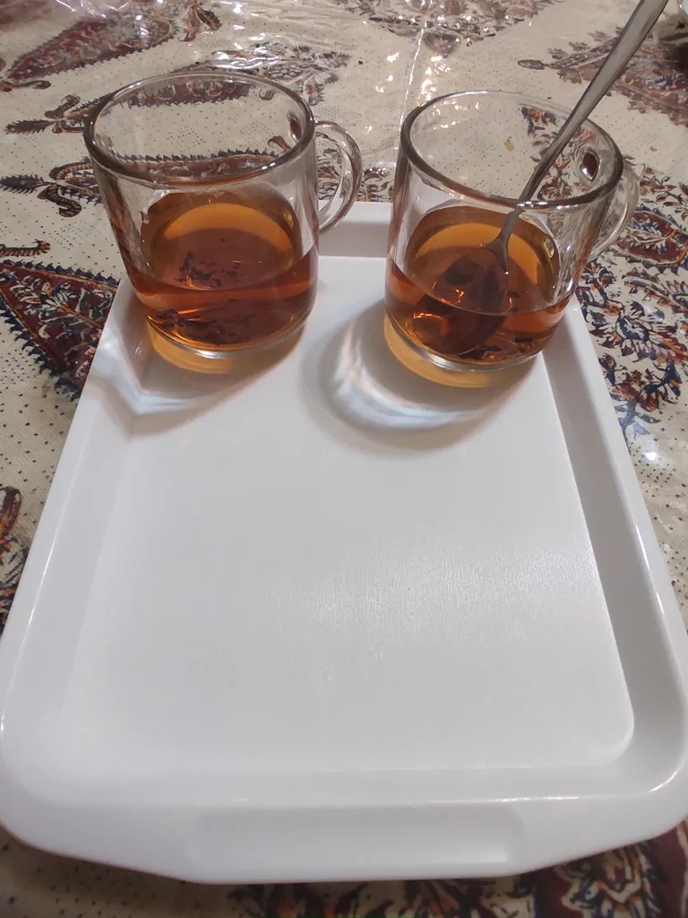 سینی زیبا مدل AT 2216