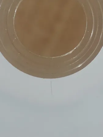 نرم افزار حسابداری سپیدار نسخه آموزشی نشر همکاران سیستم