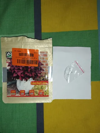 بذر گل حسن یوسف واولت رد سانیا سید مدل Velvet Red