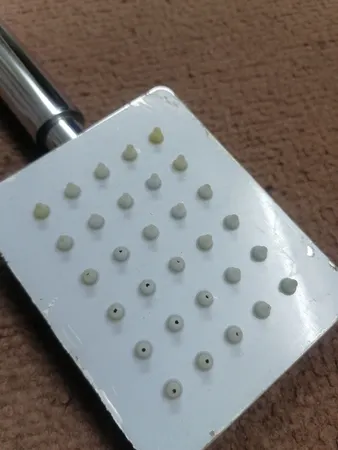 سردوش حمام مدل وایا