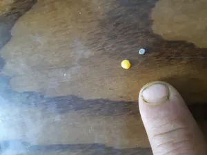 تجریه خرید آهن ربا مدل استوانه کوچک بسته 20 عددی