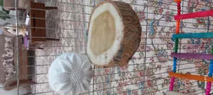 تجریه خرید سنگ کلسیم طوطی سانان توکا مدل tooka 003 وزن 80 گرم