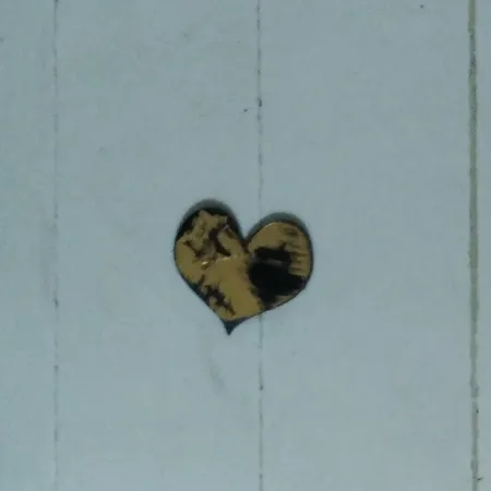 آینه آتریکس مدل گل برگ MD04