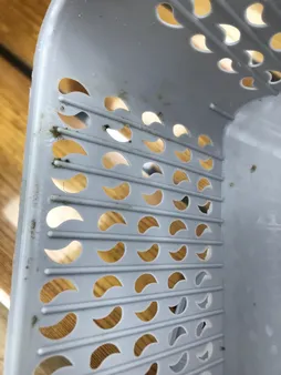 سبد نظم دهنده مدل دربدار بته جقه بسته 3 عددی