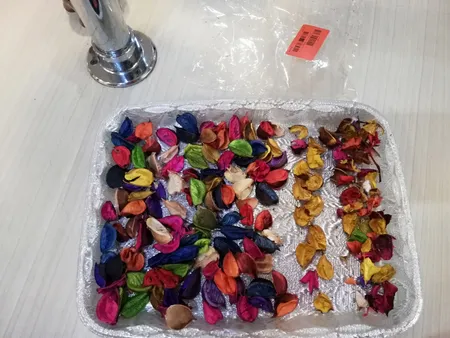 گل خشک مدل Hollands