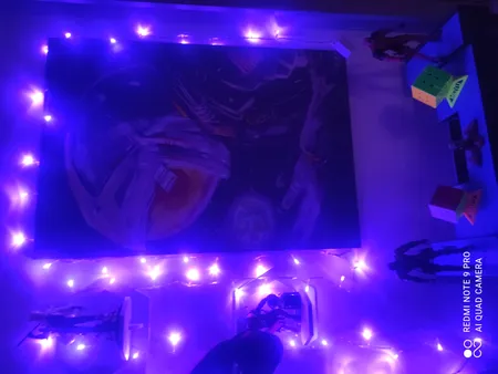 ریسه ال ای دی مدل سوزنی طول 10 متری