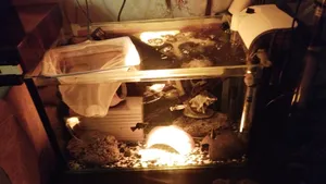 تجریه خرید چراغ جت لایت 5 وات مدل a777 IP65 بسته 2 عددی