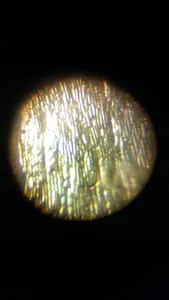 تجریه خرید میکروسکوپ مدیک مدل MH-1200L