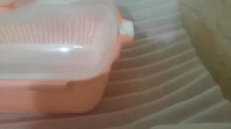 جا نانی لیمون کد dlm04