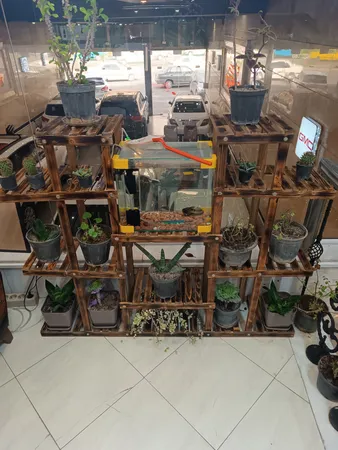 استند گل و گلدان مدل gol6