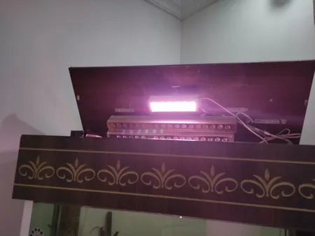 وال واشر ال ای دی رشد گیاه 6 وات مدل LP1001-6W