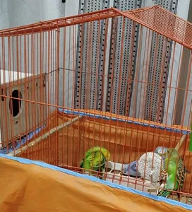 تجریه خرید بلوک معدنی مدل picbluck بسته 3 عددی