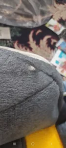 تجریه خرید کوله پشتی کودک طرح سگهای نگهبان