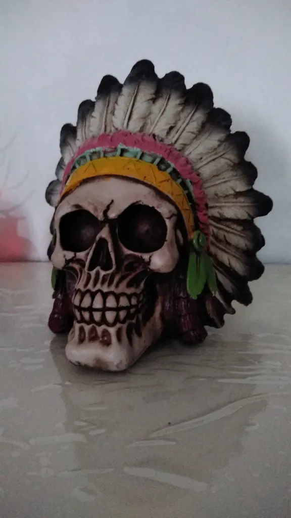 مجسمه مدل اسکلت طرح سرخ پوستی