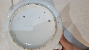 تجریه خرید ست کتری و قوری کی اند تی مدل استیل ضدزنگ مات کد 1023