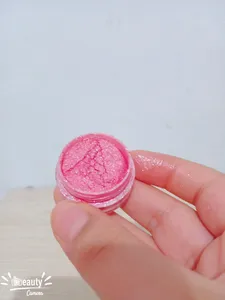 تجریه خرید پودر رنگ اسلایم تپلی مدل Pin