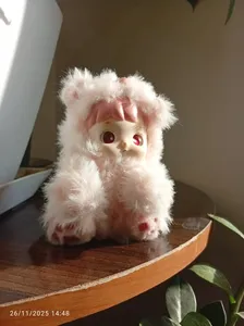 تجریه خرید اسباب بازی شانسی پاپ مارت مدل هاچی پوپو