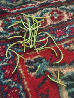 کش پول مدل U05 بسته 100عددی