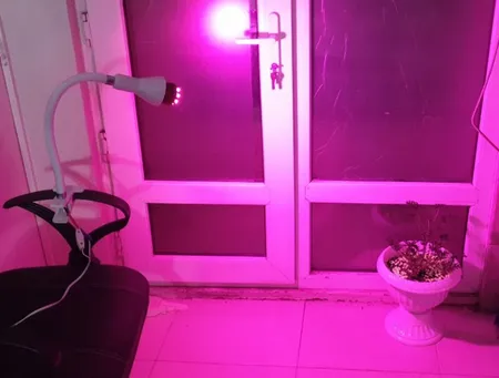 لامپ ال ای دی رشد گیاه 7 وات مدل LM2707GB پایه E27