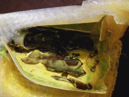 شربت آرژی پلاس  200 میلی لیتر