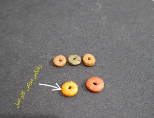 تجریه خرید غذای خشک گربه رفلکس مدل مولتی وزن 500 گرم