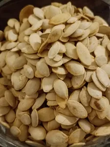 تجریه خرید تخمه کدو گوشتی چاپار مقدار 400 گرم