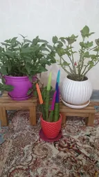 استند گلدان مدل NETWg02 مجموعه 2 عددی