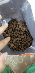 تجریه خرید غذای خشک سگ نوتری پت مدل Adult 21Percent Probiotic وزن 2 کیلوگرم