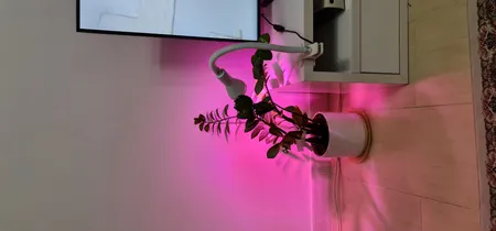 چراغ مطالعه صنایع‌ کریم‌ زاده مدل گیره ای کد CL-115