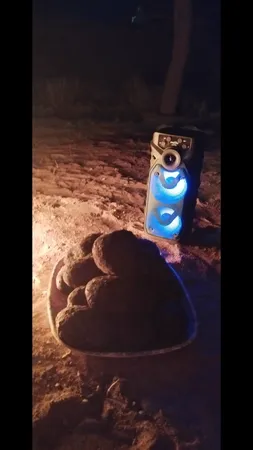 اسپیکر بلوتوثی قابل حمل مدل GTS-1560