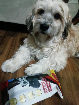 تشویقی سگ ابیش مدل نای خشک شده گوساله و بره وزن 100 گرم