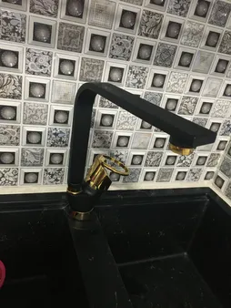 سینک ظرفشویی پارادایز مدل TURKEYBGOL202 توکار