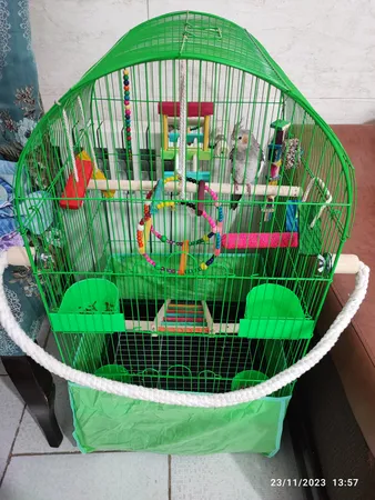 قفس عروس هلندی مدل 1034