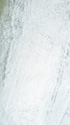 پارچه لباس مدل تدی دورو نیوسافت کد 02