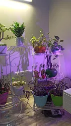 وال واشر رشد گیاه 36 وات مدل W