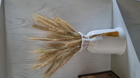 دسته گل خشک مدل خوشه گندم کد 20