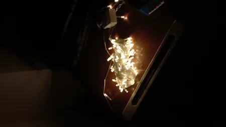 ریسه ال ای دی مدل سوزنی طرح پر طول 10 متری