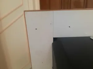 تجریه خرید میز تحریر دینیال مدل DINIAL0144