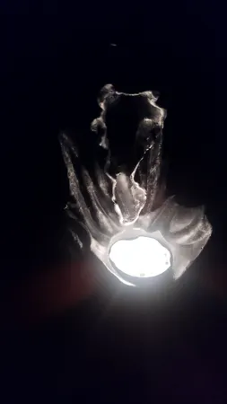 جاعودی آوش دکور مدل آبشاری طرح روح