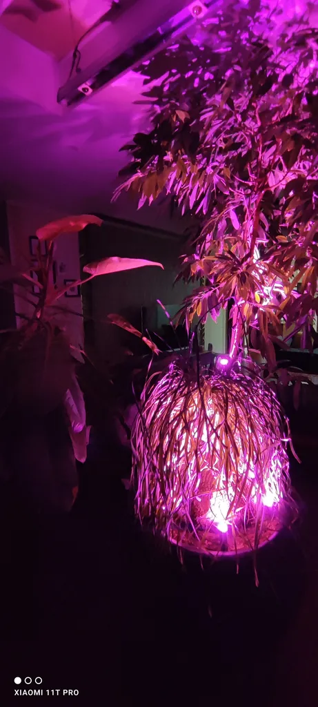 لامپ رشد گیاه 15 وات لایت ویژن مدل hp1-5w بسته سه عددی