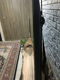 محافظ صفحه نمایش  مناسب برای تلویزیون 65 اینچ