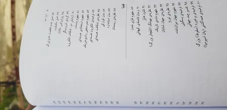 کرم روشن کننده سانیده آرا مدل Herbal وزن 50 گرم